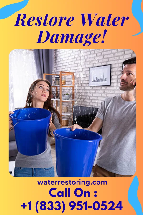 water restoration Shield Water Cleanup & Associates Zarephath